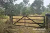 1140 Old Esk Road, Blackbutt, Qld 4314-Image