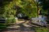 1149 Edith Road, Edith, NSW 2787-Image
