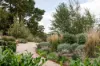 1149 Edith Road, Edith, NSW 2787-Image