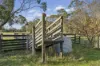 115 Barholme Lane, Murroon, Vic 3243-Image