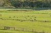 115 Barholme Lane, Murroon, Vic 3243-Image