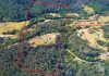 115 Gulph Creek Road, Nerrigundah, NSW 2545