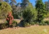 115 Gulph Creek Road, Nerrigundah, NSW 2545-Image