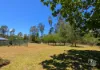 115 Gulph Creek Road, Nerrigundah, NSW 2545-Image