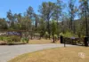 115 Gulph Creek Road, Nerrigundah, NSW 2545-Image