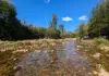 115 Gulph Creek Road, Nerrigundah, NSW 2545-Image