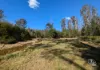 115 Gulph Creek Road, Nerrigundah, NSW 2545-Image