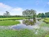 115 McPherson Road, Mardi NSW 2259-Image