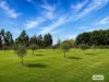 115 Ritchies Road, Kyneton, Vic 3444-Image