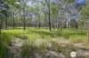115 Woolshed Gully Road, Temagog, NSW 2440-Image