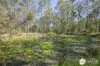115 Woolshed Gully Road, Temagog, NSW 2440-Image