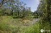 115 Woolshed Gully Road, Temagog, NSW 2440-Image