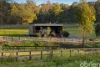 1150 Upper King River Road, Cheshunt, Vic 3678-Image