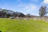1152 Cope Road, Gulgong, NSW 2852-Image