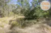 116 Loriots Access, Dondingalong, NSW 2440-Image