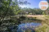 116 Loriots Access, Dondingalong, NSW 2440-Image