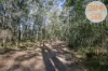 116 Loriots Access, Dondingalong, NSW 2440-Image