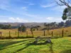 117, Loch VIC 3945-Image