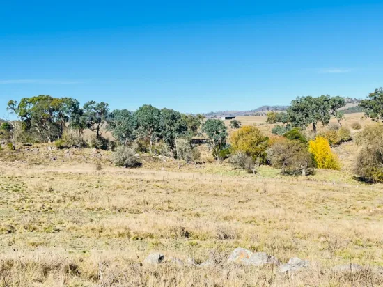 11753B Bruxner Hwy, Tenterfield, NSW 2372
