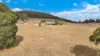1176 Nowendoc Road, Niangala, NSW 2354-Image