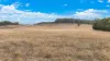 1176 Nowendoc Road, Niangala, NSW 2354-Image