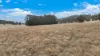1176 Nowendoc Road, Niangala, NSW 2354-Image