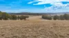 1176 Nowendoc Road, Niangala, NSW 2354-Image