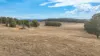 1176 Nowendoc Road, Niangala, NSW 2354-Image