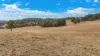 1176 Nowendoc Road, Niangala, NSW 2354-Image