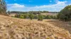 1176 Nowendoc Road, Niangala, NSW 2354-Image