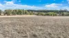 1176 Nowendoc Road, Niangala, NSW 2354-Image
