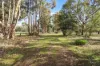 1177 Wonwondah-Toolondo Road, Nurrabiel, Vic 3401-Image