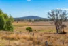 118 Tip Road, Pittsworth, Qld 4356-Image