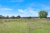1182 Caoura Road, Tallong, NSW 2579-Image