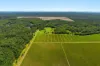 1190, Bungawalbin NSW 2469-Image