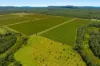 1190, Bungawalbin NSW 2469-Image