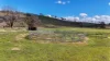 1191 Campbells Creek Road, Mudgee, NSW 2850-Image
