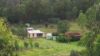 1196 Nullo Mountain Rd, Nullo Mountain, NSW 2849