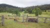 1196 Nullo Mountain Rd, Nullo Mountain, NSW 2849-Image