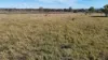 12 Lindstrom Road, Brightview, Qld 4311-Image