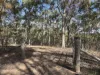 12, Summerholm Road, Summerholm, Qld 4341-Image
