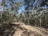 12, Summerholm Road, Summerholm, Qld 4341-Image