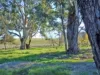 120 Grahamstown Road, Adelong, NSW 2729-Image