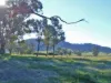 120 Grahamstown Road, Adelong, NSW 2729-Image
