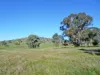 120 Grahamstown Road, Adelong, NSW 2729-Image