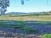 120 Grahamstown Road, Adelong, NSW 2729-Image