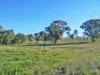 120 Grahamstown Road, Adelong, NSW 2729-Image
