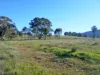 120 Grahamstown Road, Adelong, NSW 2729-Image
