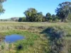 120 Grahamstown Road, Adelong, NSW 2729-Image
