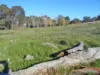 120 Grahamstown Road, Adelong, NSW 2729-Image